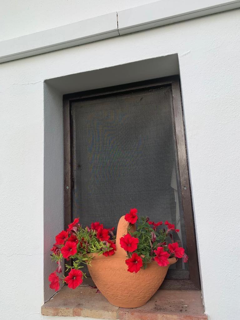 La Portilla Casa de Férias Aroche