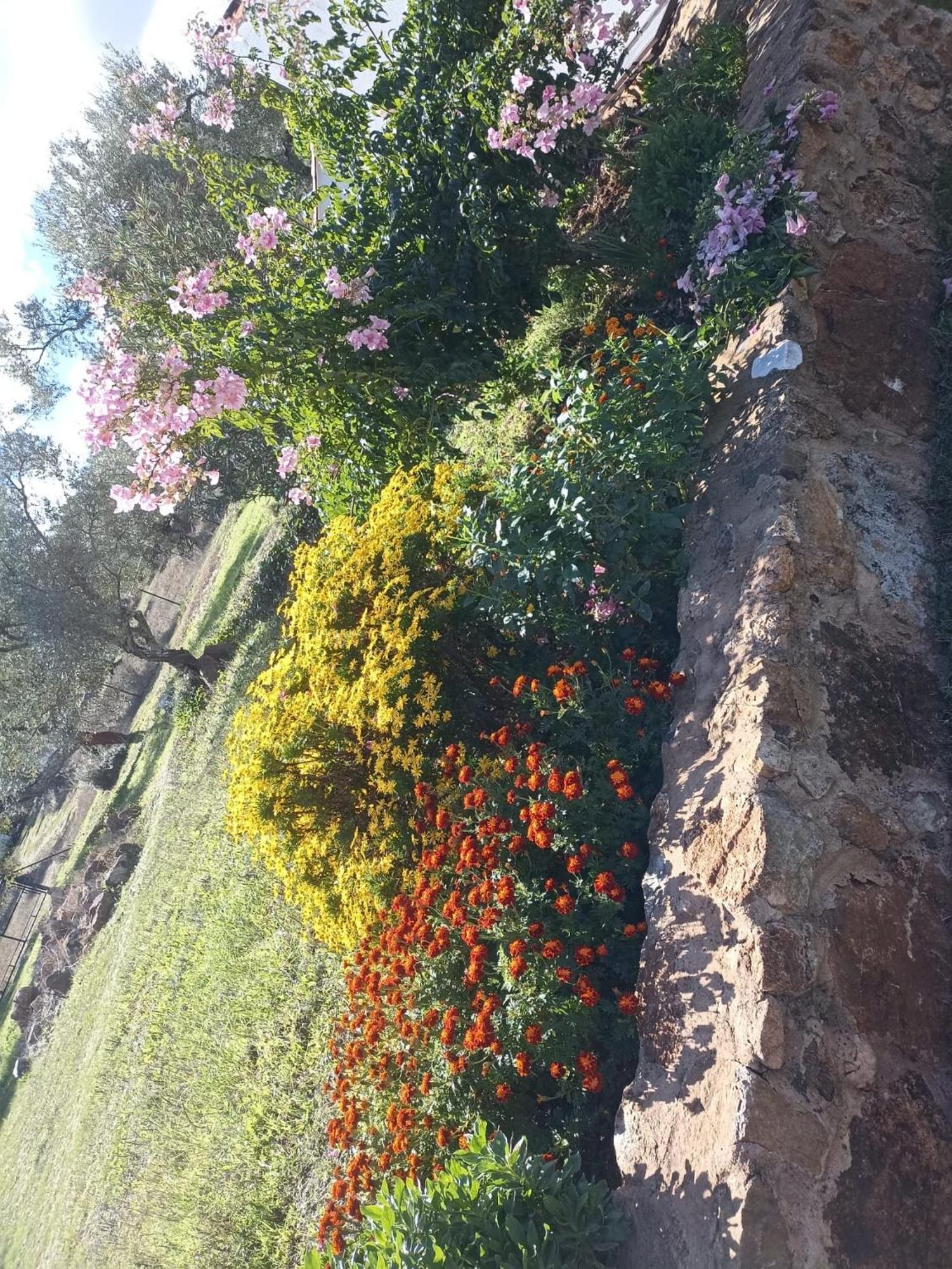 Casa de Férias La Portilla *